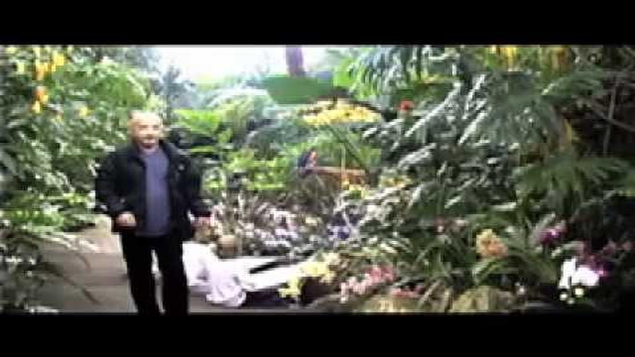 0021 Dog, Truly a Mans Best Friend by Shafie Ayar