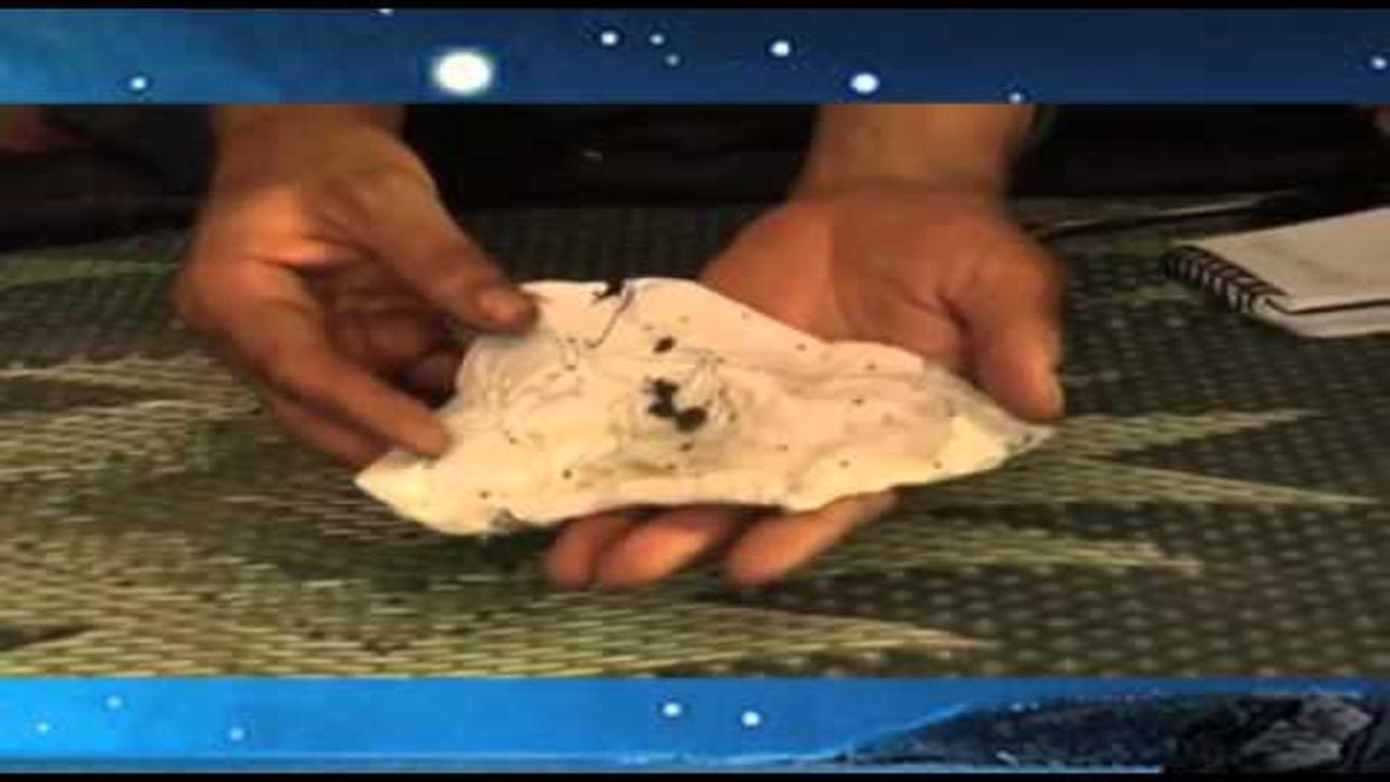 0073 Afghanistan, Iran and Opium by Shafie Ayar Nov 7 2012